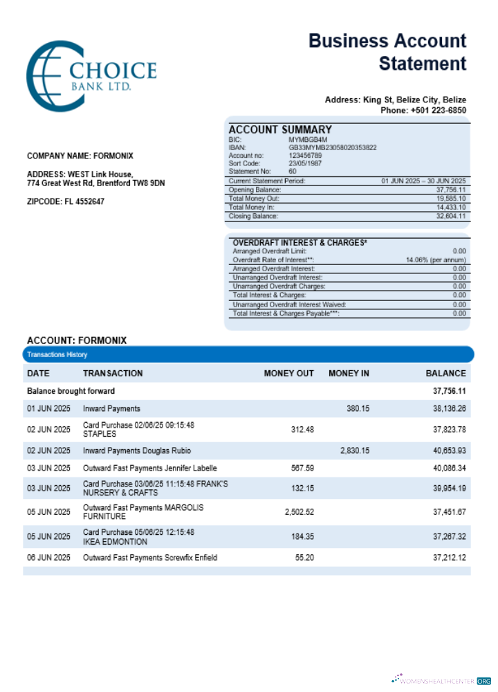 Download Choice Bank business firm statement Word and PDF format Photoshop template